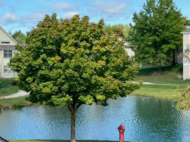 $1,995 | 1567 Weatherstone Drive, Ann Arbor, MI 48108