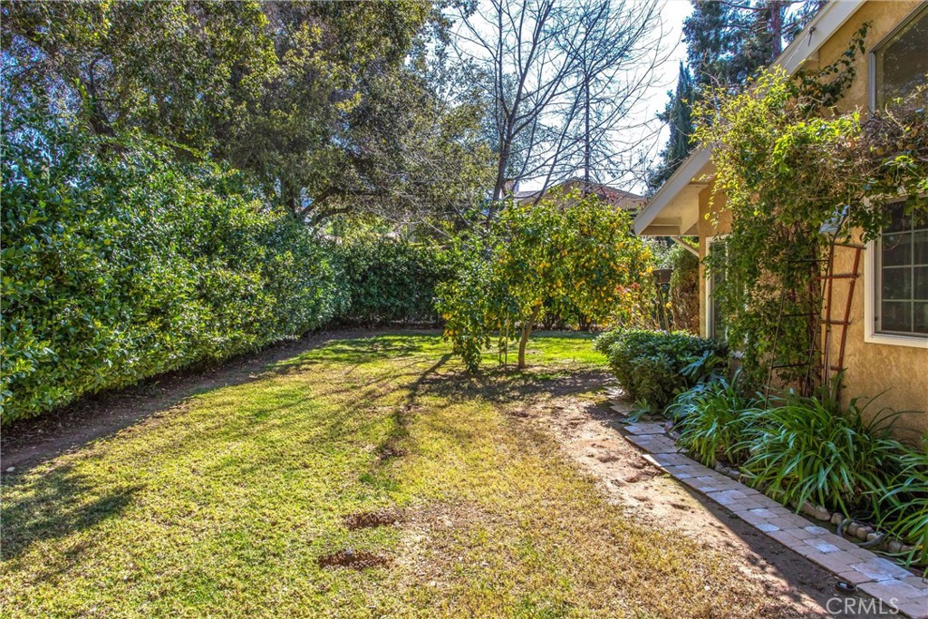 13503 Mulberry Circle Yucaipa, CA 92399 - Photo 22 of 28 a view of a yard with plants and trees