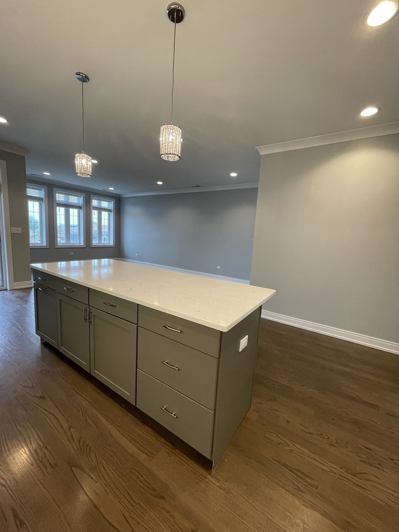 2036 West 18th Street, Unit 4 Chicago, IL 60608 - Photo 6 of 29 a kitchen with stainless steel appliances granite countertop a sink a refrigerator and wooden floor