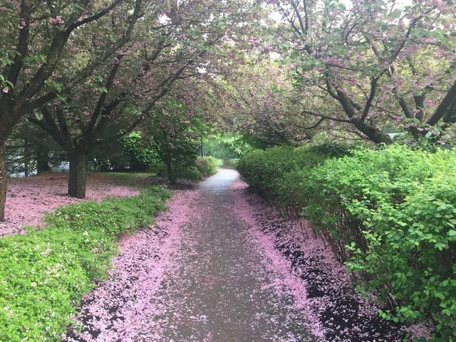 $419,000 | 4 Village Brook Lane, Unit 4, Natick, MA 01760