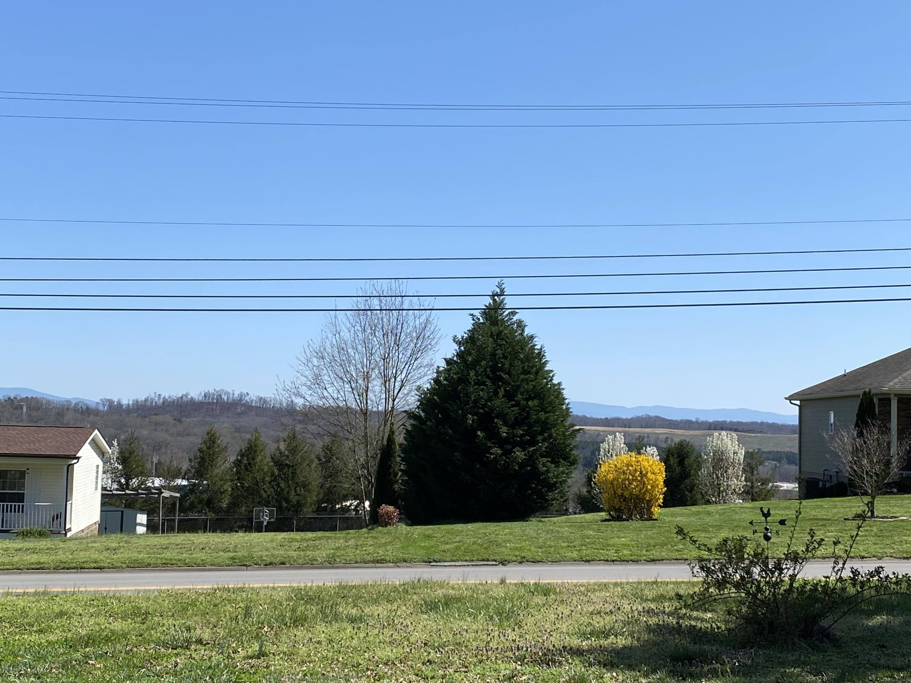 1010 Carding Machine Road Loudon, TN 37774 - Photo 4 of 40 4