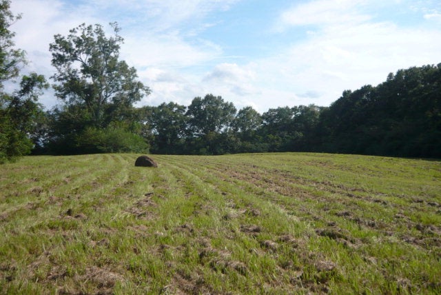 12-ac Cool Springs Road Opp, AL 36467 - Photo 14 of 14 Gallery Image 14
