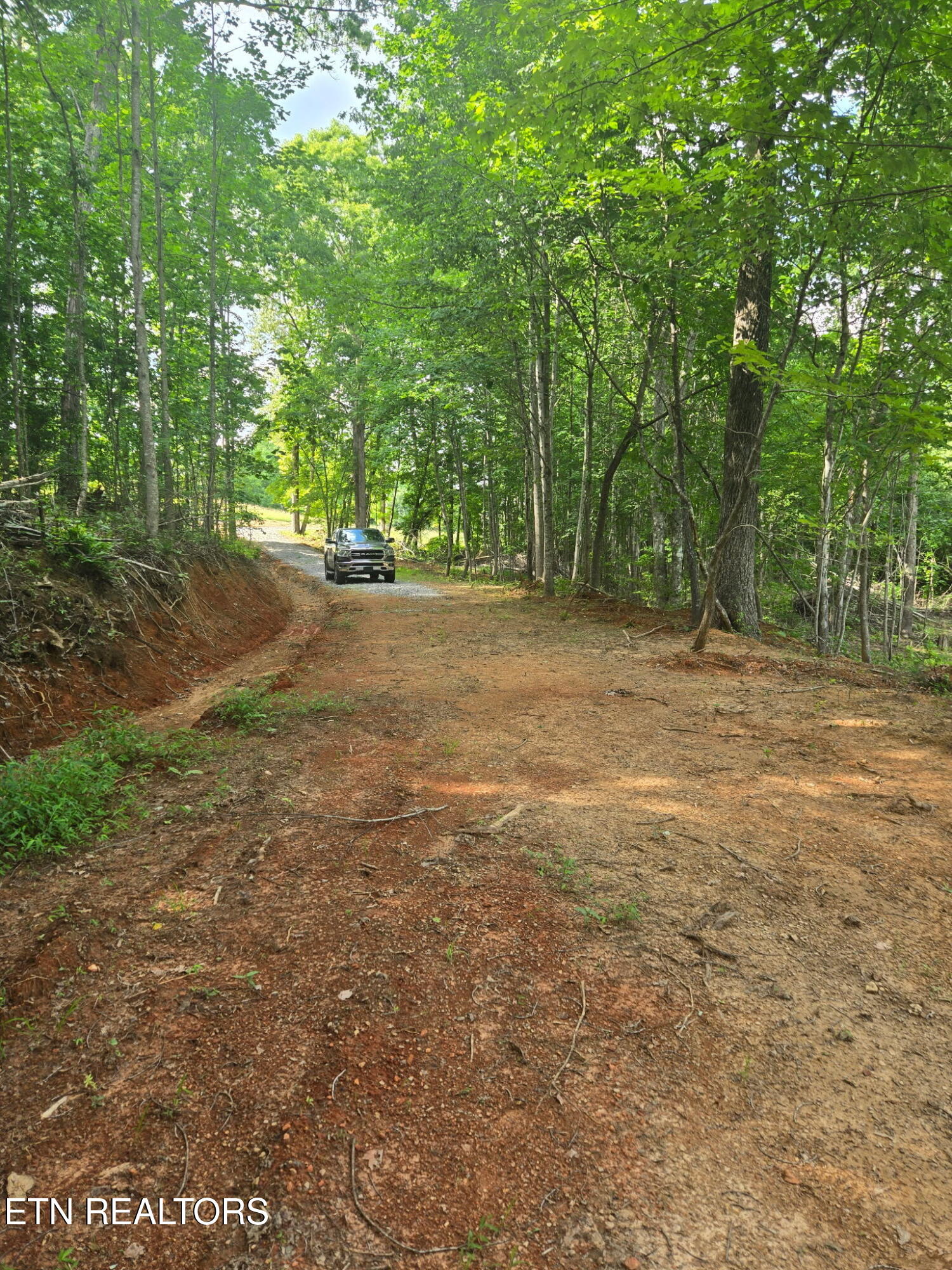 1460 Big Neck Road Grandview, TN 37337 - Photo 31 of 32 Driveway