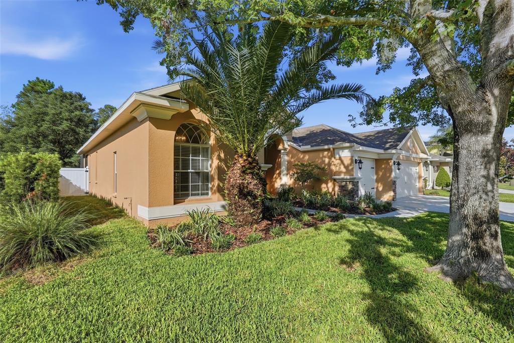12903 Drakefield Drive Spring Hill, FL 34610 - Photo 43 of 60