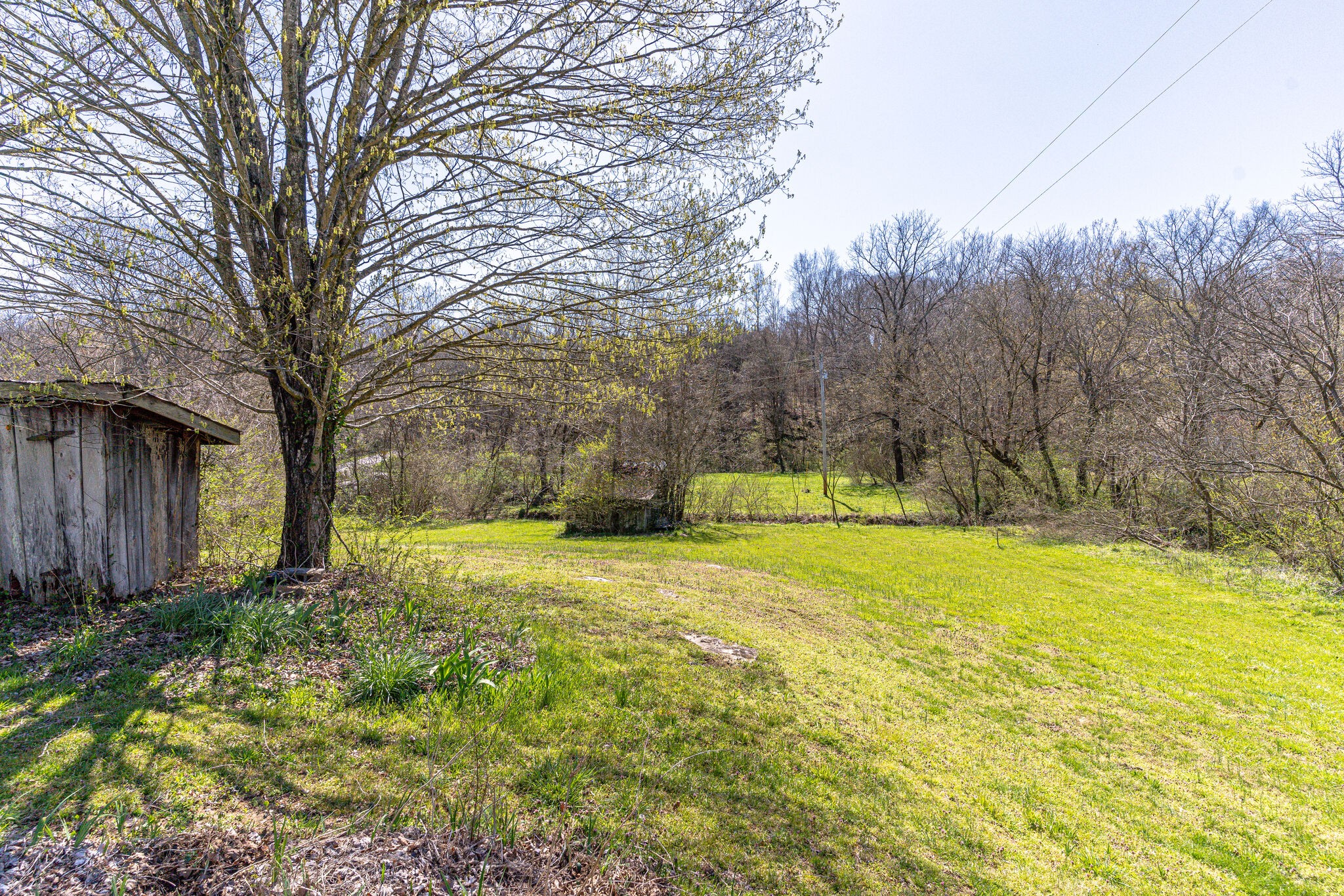 700 Spring Street Charlotte, TN 37036 - Photo 26 of 27 Gallery Image 26