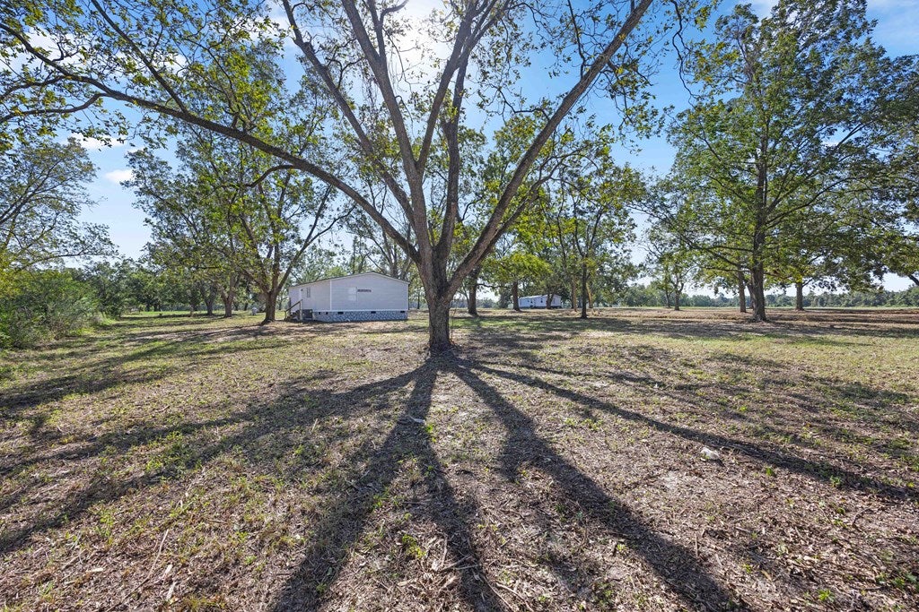 881 Griffin Road Barney, GA 31625 - Photo 25 of 32 Gallery Image 25