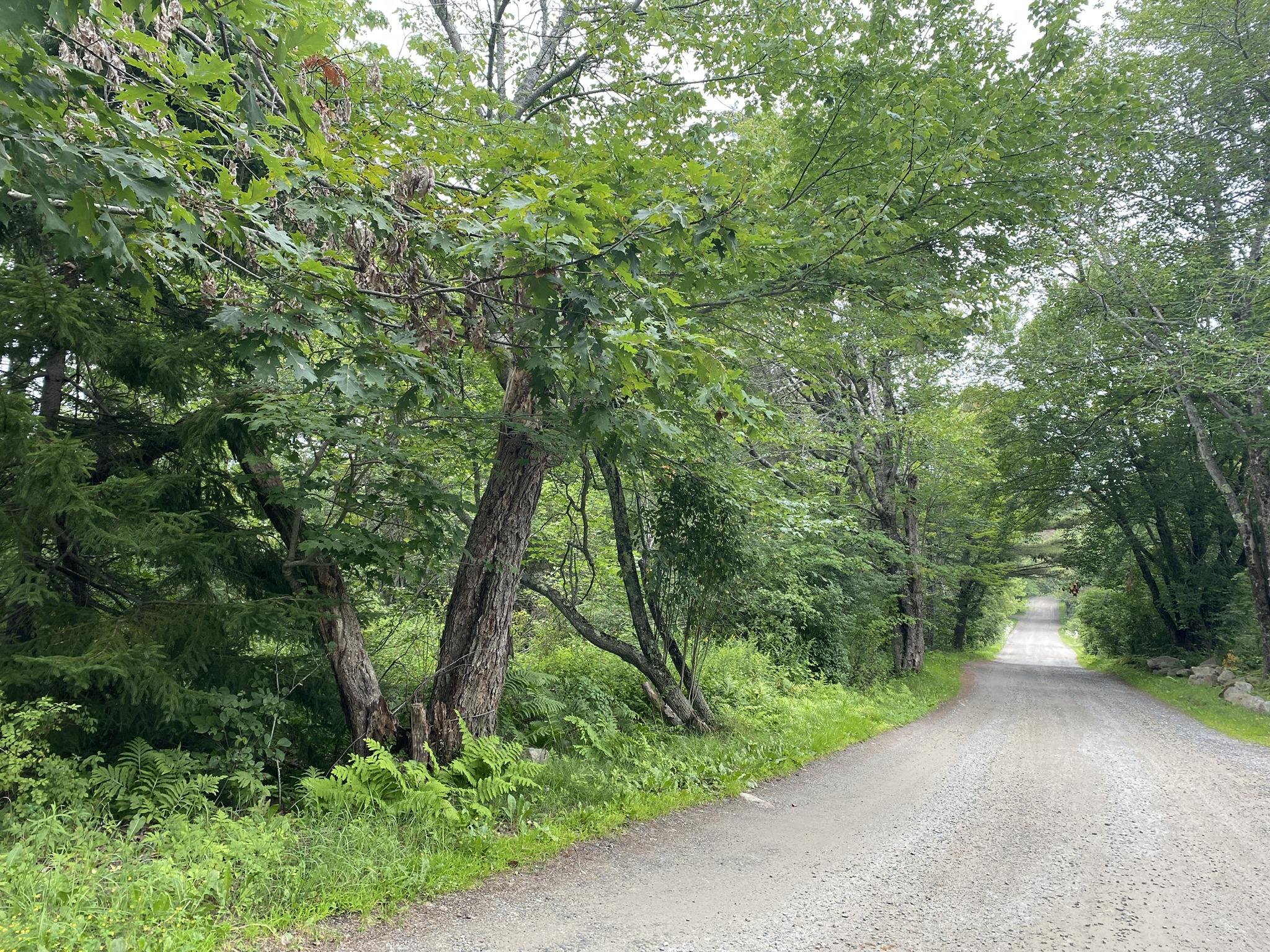 0 States Point Road Tenants Harbor, ME 04860 - Photo 23 of 25 B31B76BD-0879-4A4B-AFC1-66F384502ECD