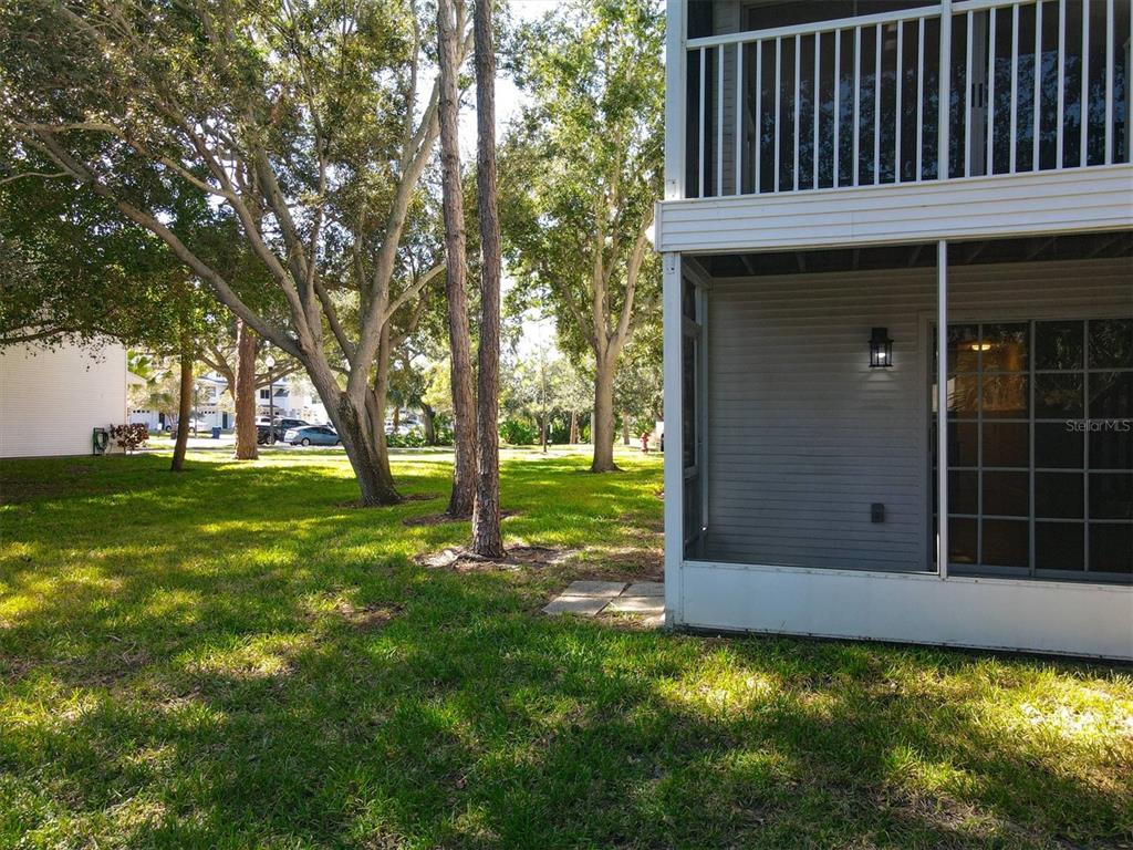9736 Indian Key Trail, Unit 111 Seminole, FL 33776 - Photo 44 of 56 a view of a backyard with a large tree
