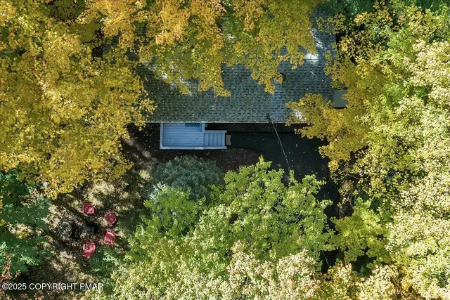 a view of a house with a yard and tree s