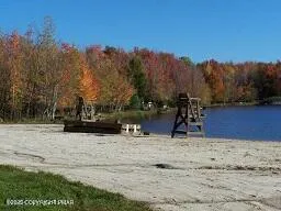 a view of a backyard with table and chairs potted plants and a large tree