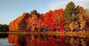 a view of a patio with couches table and chairs and potted plants