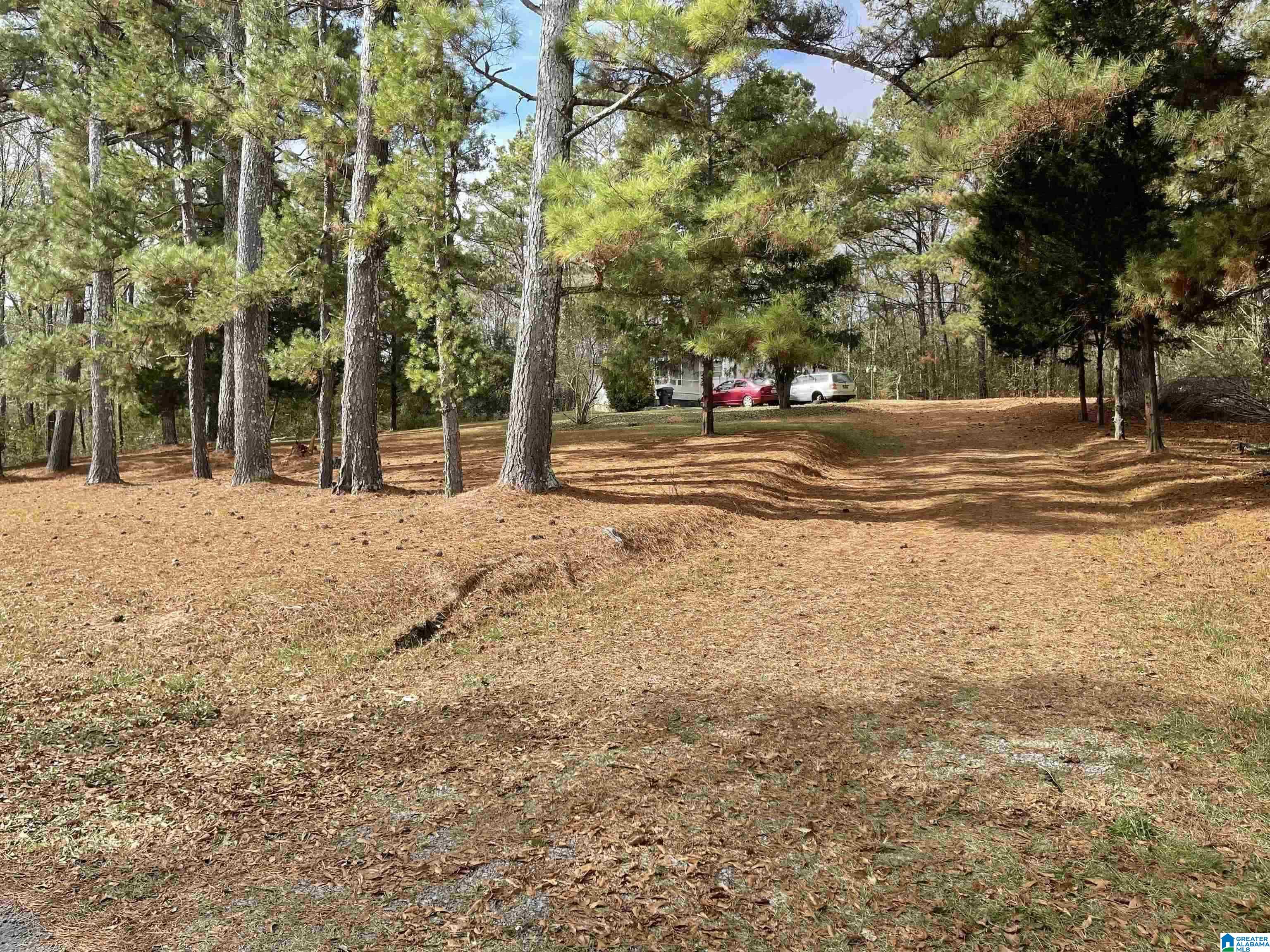 4941 Pleasant Valley Road Ashville, AL 35953 - Photo 3 of 15