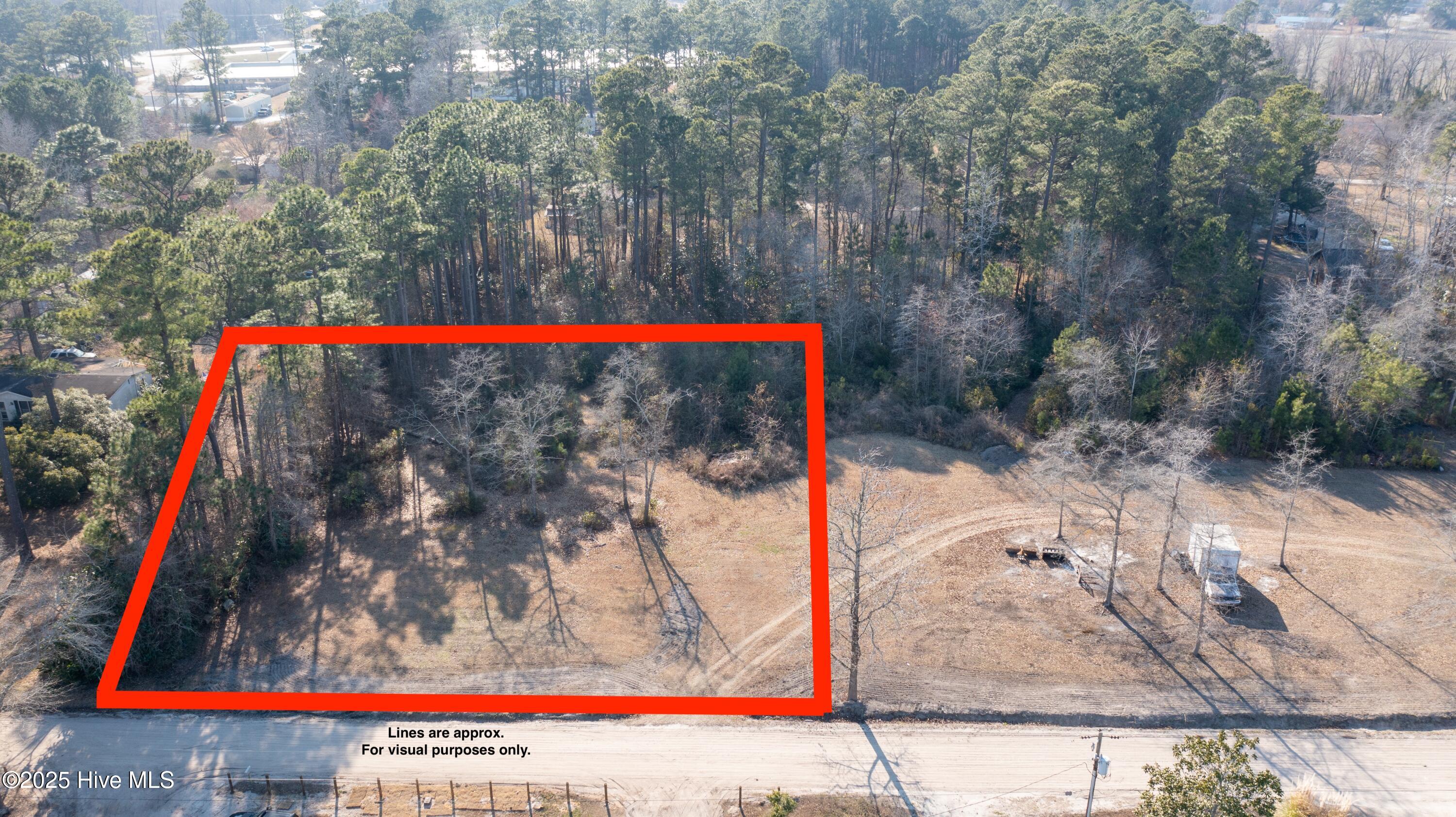 123 Wildcat Pond Road Hubert, NC 28539 - Photo 2 of 3 Aerial 2