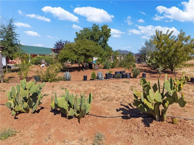 a view of a chairs and tables in the patio