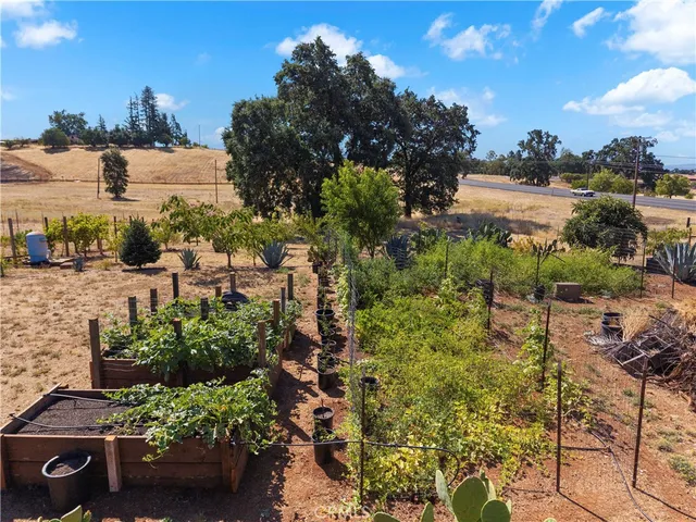 a view of backyard of house