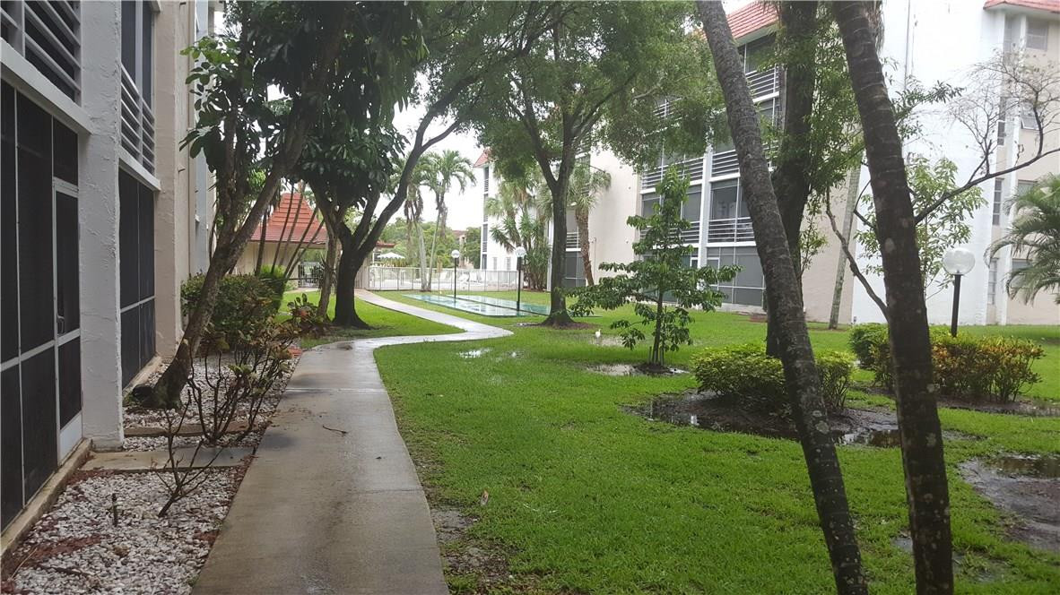 a view of a back yard