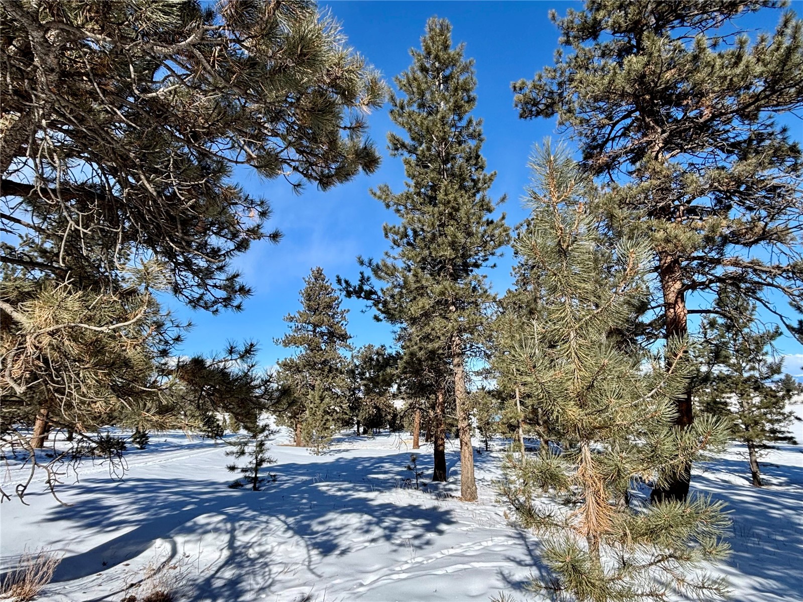 Tbd Singletree Road Hartsel, CO 80449 - Photo 30 of 35 Gallery Image 30