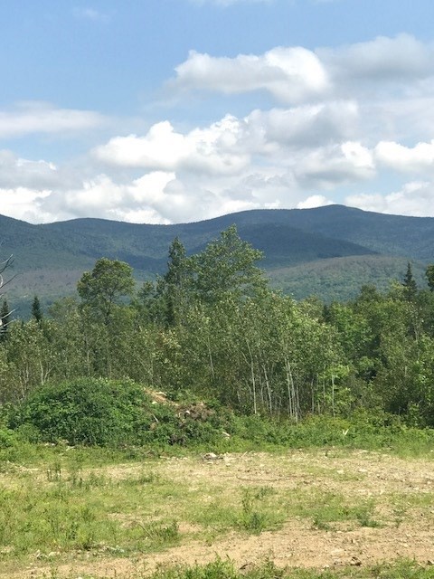 2 Turnpike Road Jefferson, NH 03583 - Photo 3 of 4