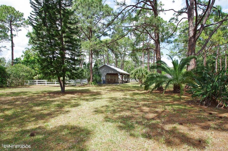 4200 Pinewood Road Melbourne, FL 32934 - Photo 6 of 40 Beautiful Treed Property