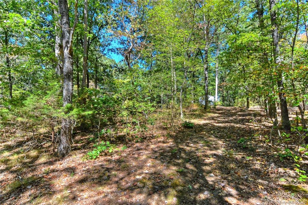 4320 Monroe-Ansonville Road Wingate, NC 28174 - Photo 29 of 34