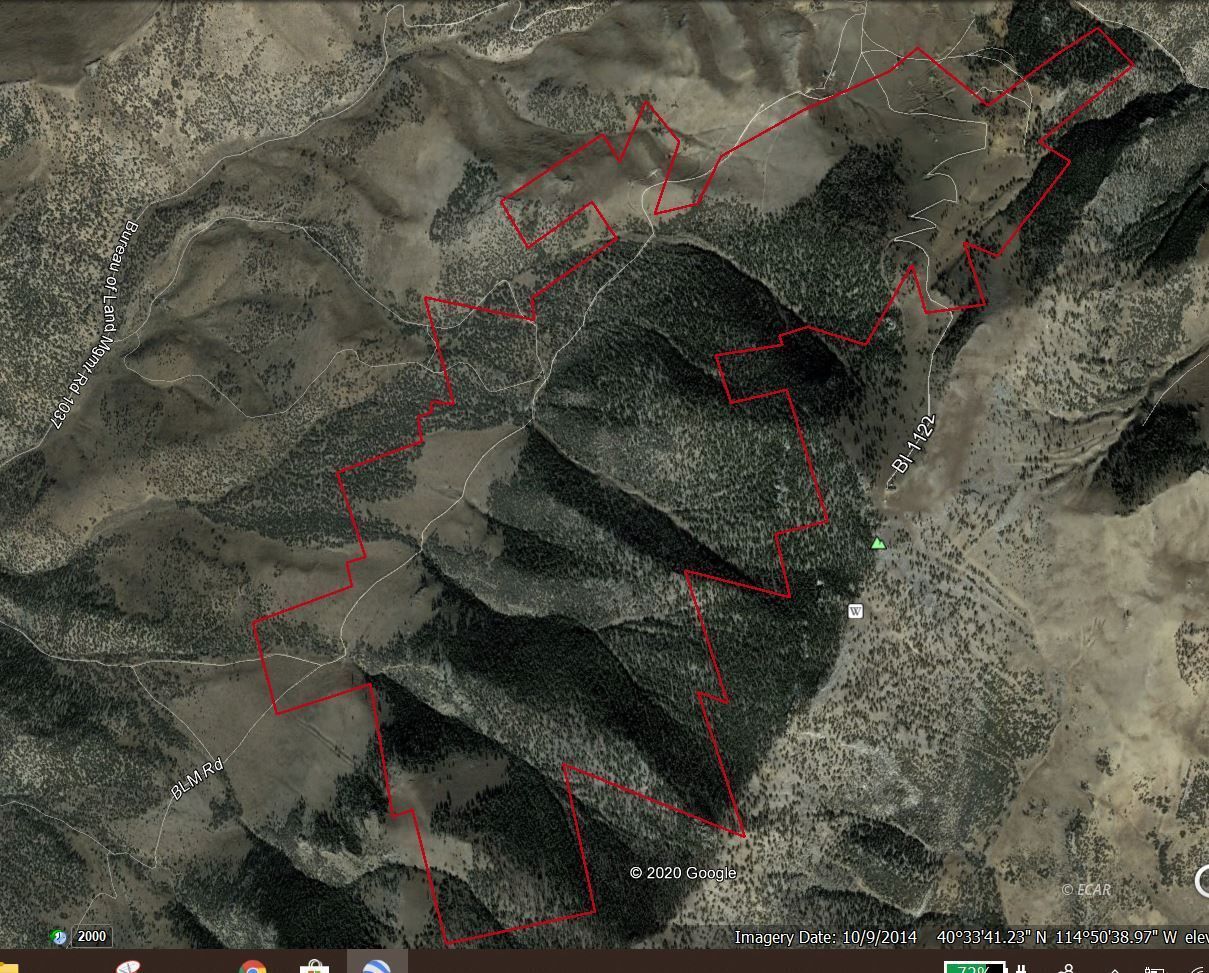 Spruce Mtn Rd Wells Wells, NV 89835 - Photo 3 of 4