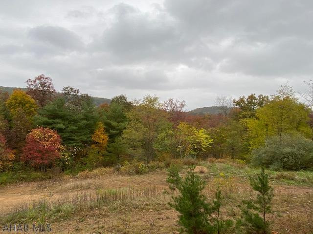 110 Mearkle Road Clearville, PA 15535 - Photo 1 of 35 Gallery Image 1