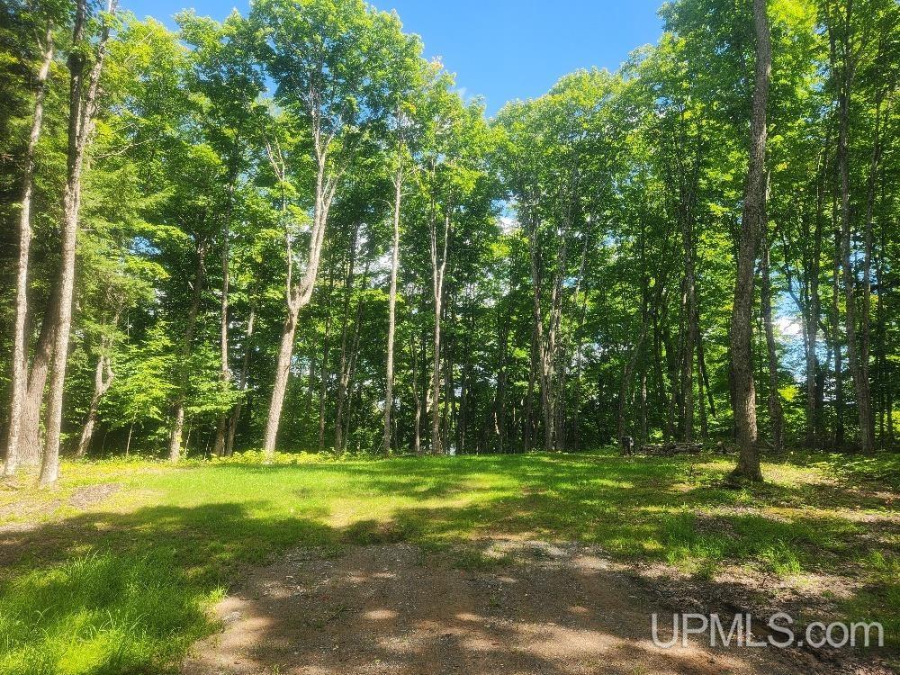 Tbd West Tamarack Lake Road, Unit LOT 5 Watersmeet, MI 49969 - Photo 60 of 66