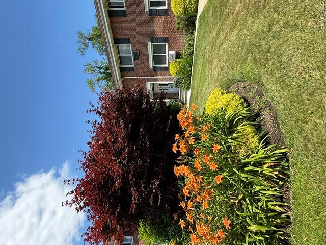 Entry Door to Unit F w Mature Plantings