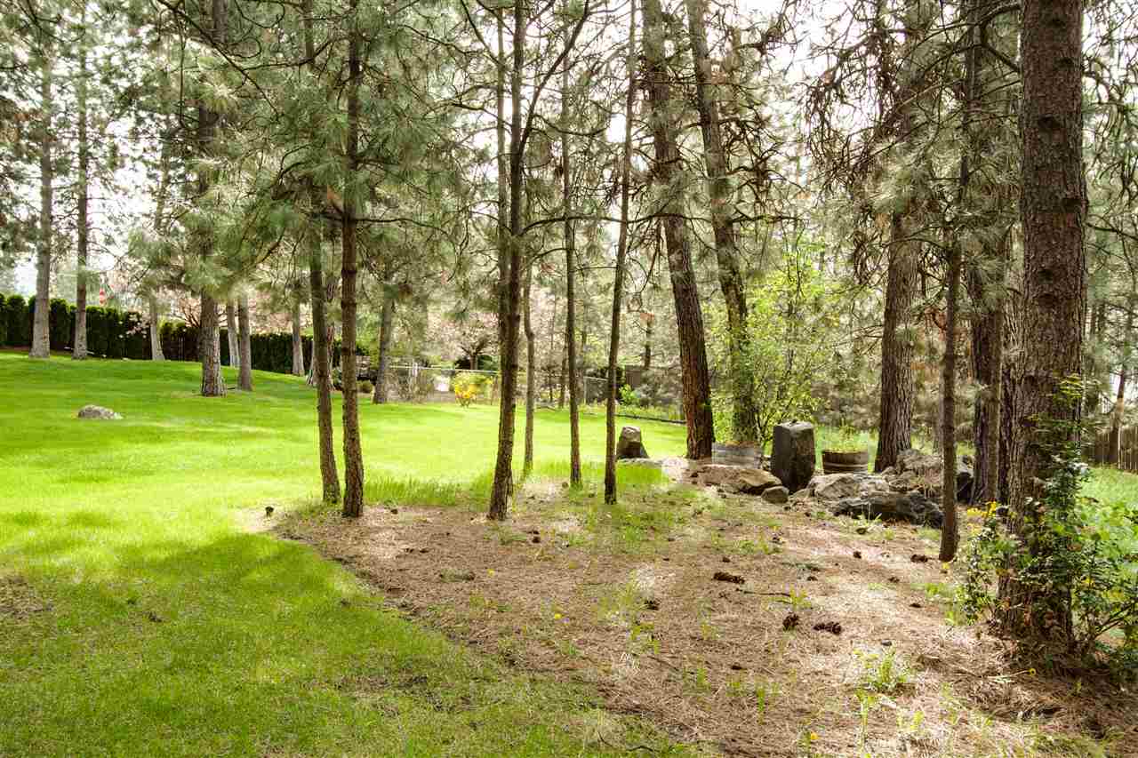 3612 South Morrill Street Spokane, WA 99223 - Photo 17 of 19