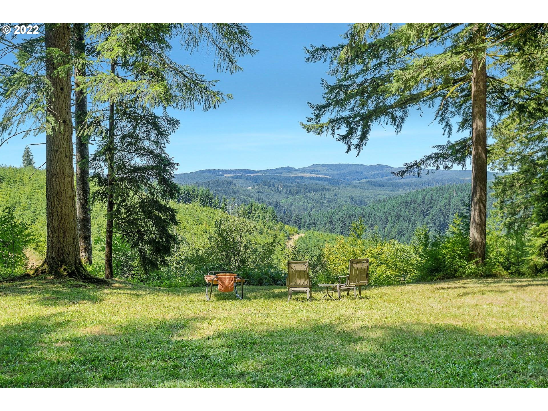 57271 Walker Road Scappoose, OR 97056 - Photo 3 of 31 Backyard