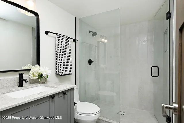a bathroom with a granite countertop sink a toilet and shower
