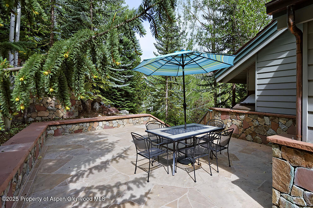 333 Faraway Road Snowmass Village, CO 81615 - Photo 29 of 29 a view of backyard of house with seating space