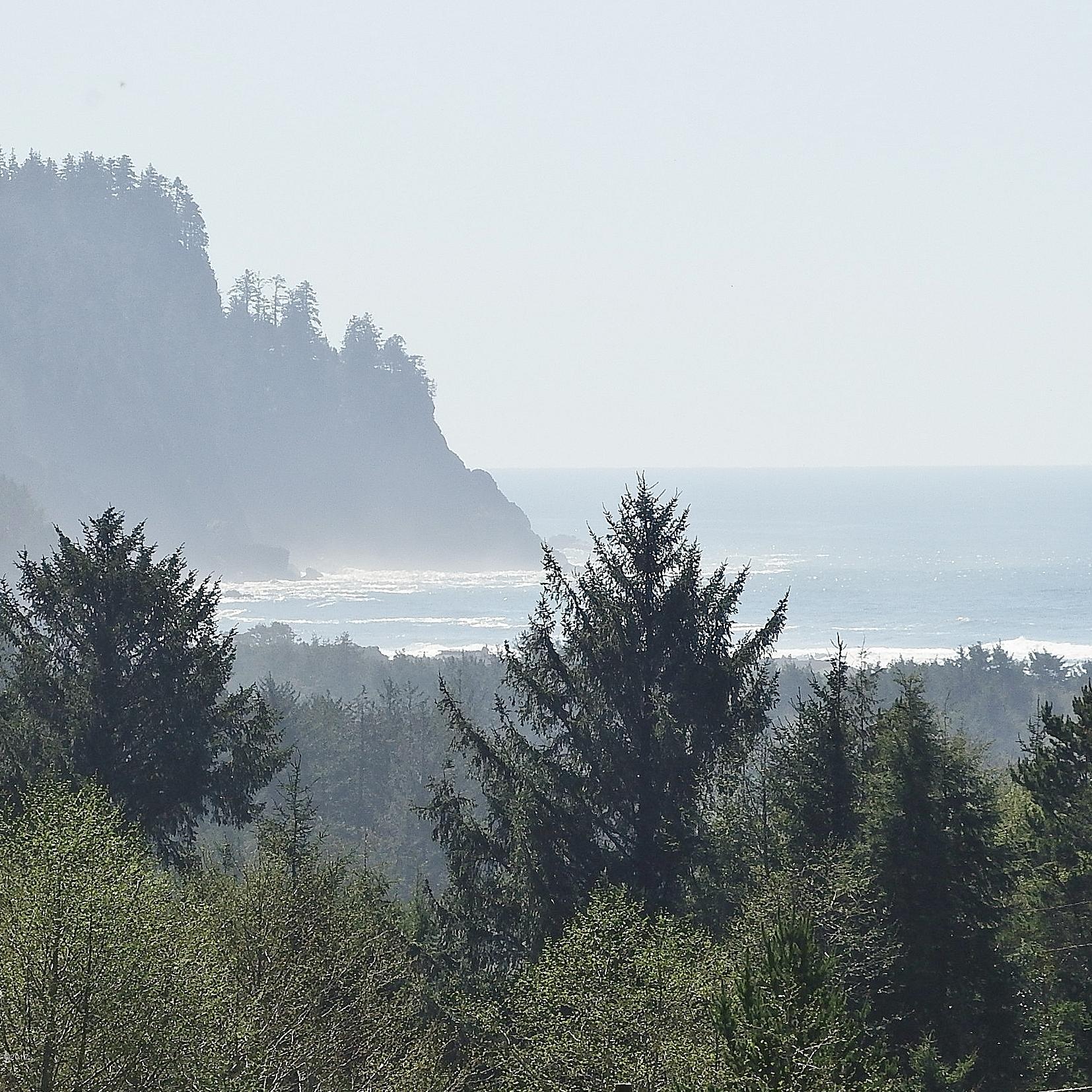 6205 Scherzinger Road Neskowin, OR 97149 - Photo 6 of 88 Zoom of Property View