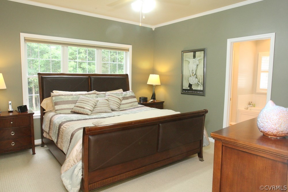 7380 West River Road Aylett, VA 23009 - Photo 17 of 32 Gallery Image 17