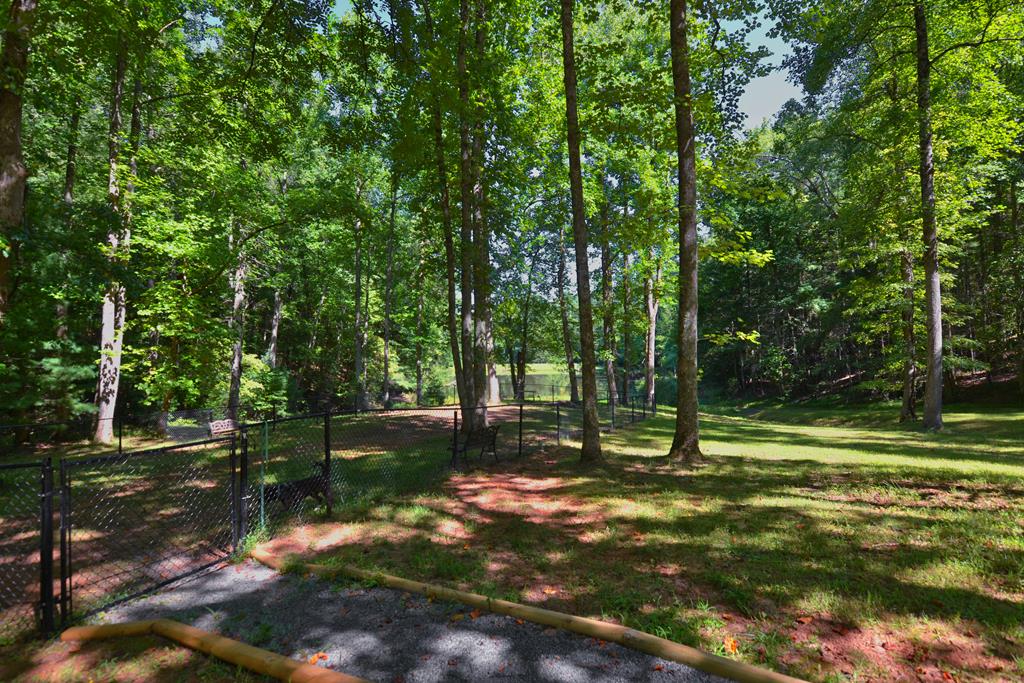 161 Walnut Ridge Ellijay, GA 30536 - Photo 65 of 66 Common Area - Dog Park