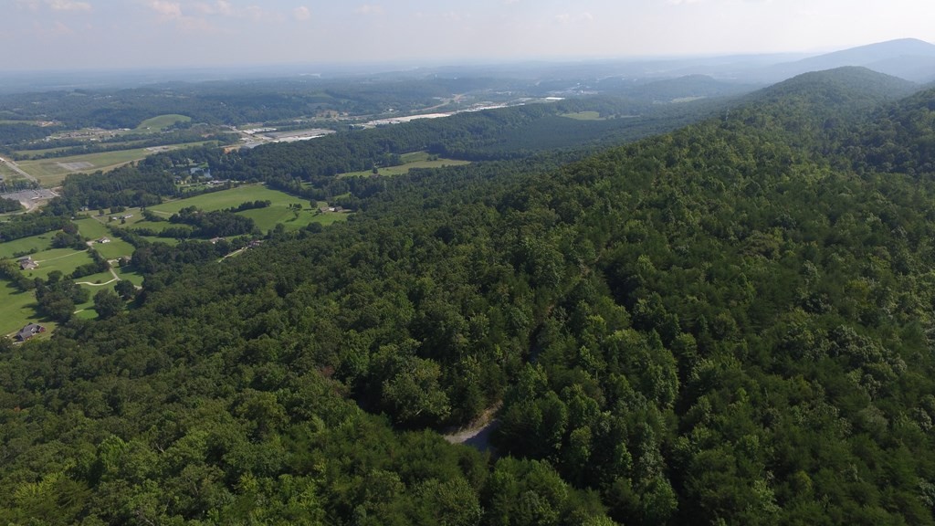 0 Back Valley Road Dayton, TN 37321 - Photo 15 of 20