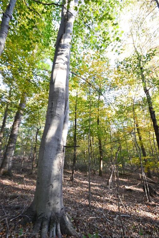 Sand Hill Road Southeast Elizabeth, IN 47117 - Photo 8 of 28 Gallery Image 8