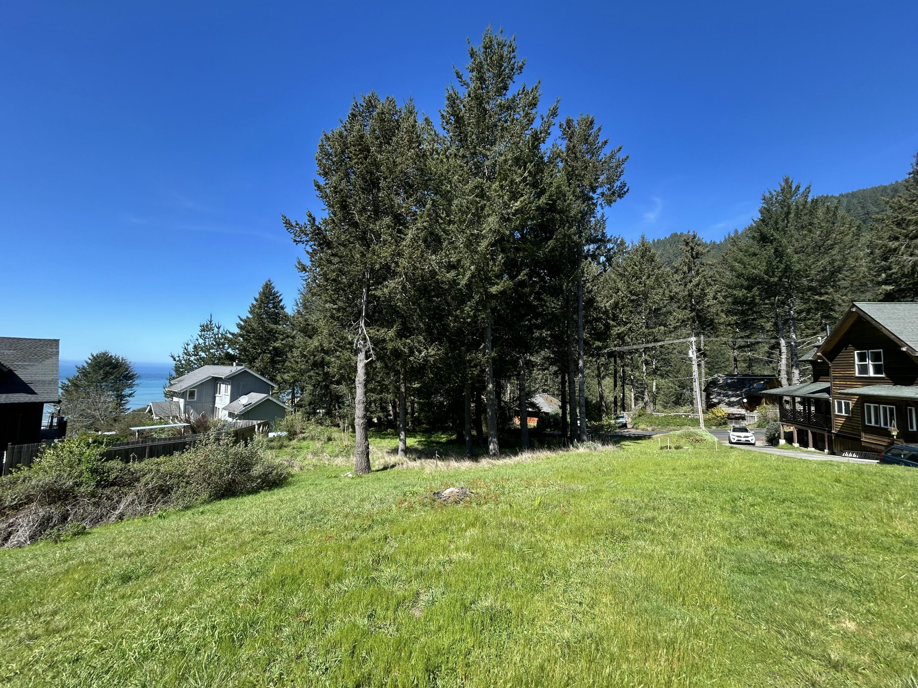 597 Ridge Road Whitethorn, CA 95589 - Photo 4 of 11