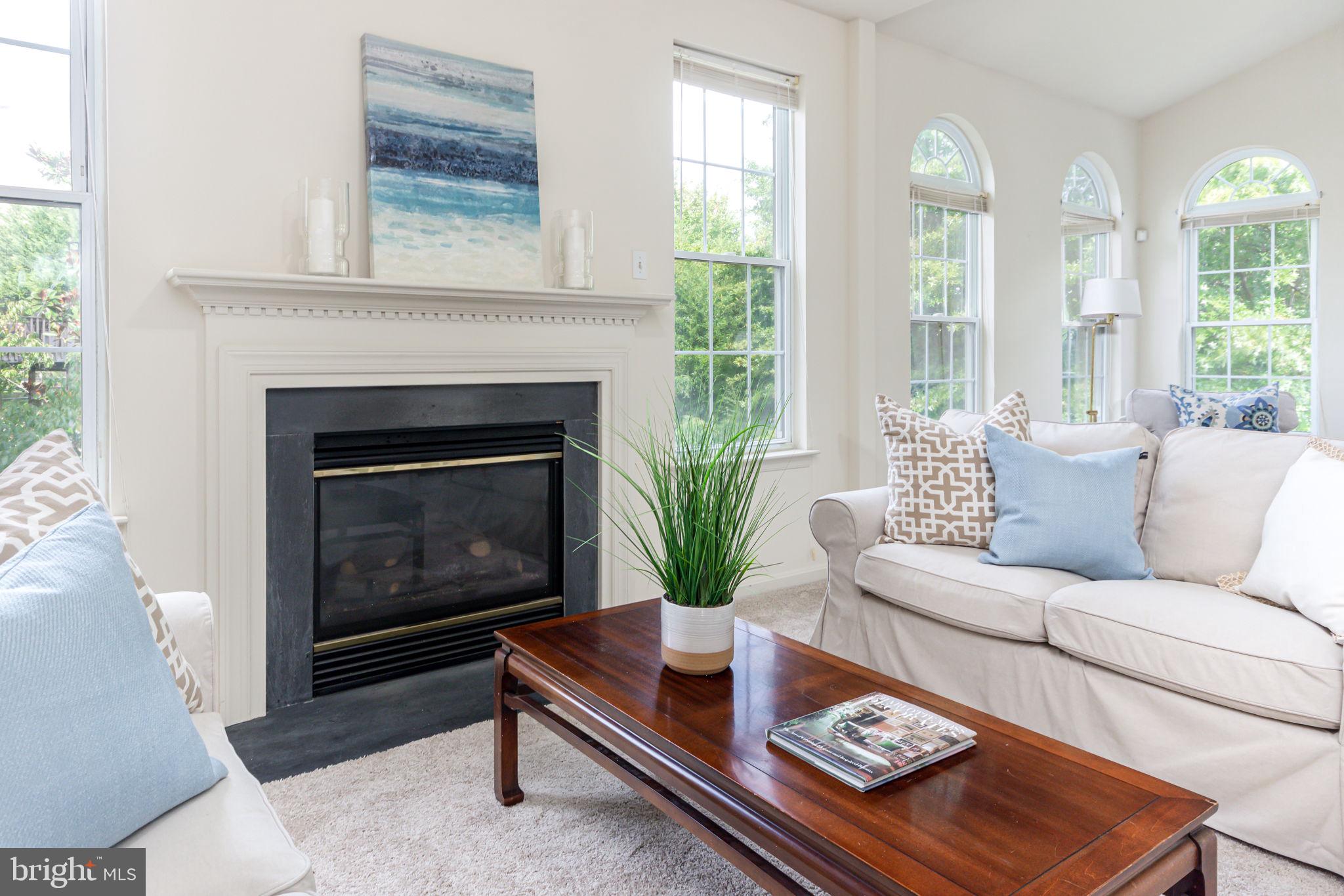 118 Queensberry Road Baltimore, MD 21237 - Photo 10 of 38 Gas fireplace