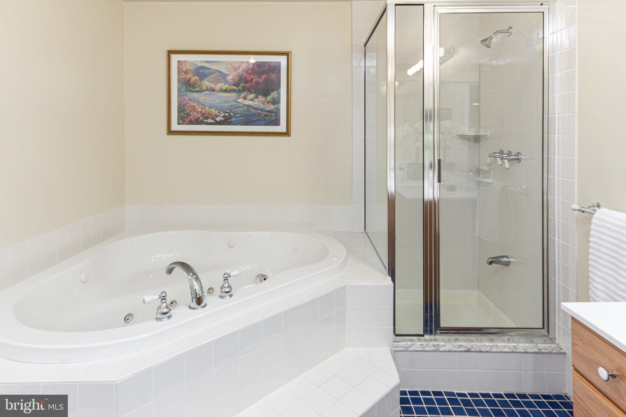 118 Queensberry Road Baltimore, MD 21237 - Photo 28 of 38 Soaking jetted tub & glass shower
