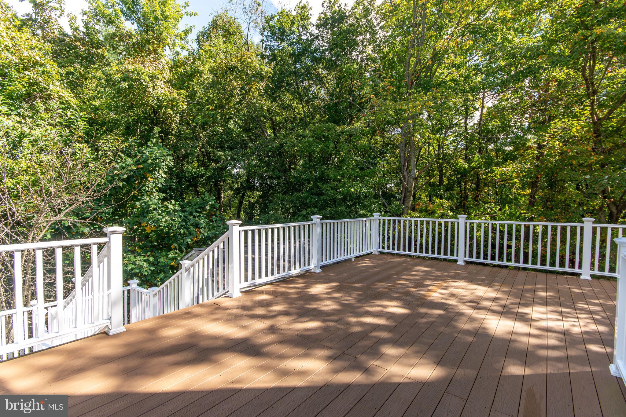 118 Queensberry Road Baltimore, MD 21237 - Photo 32 of 38 Wooded view