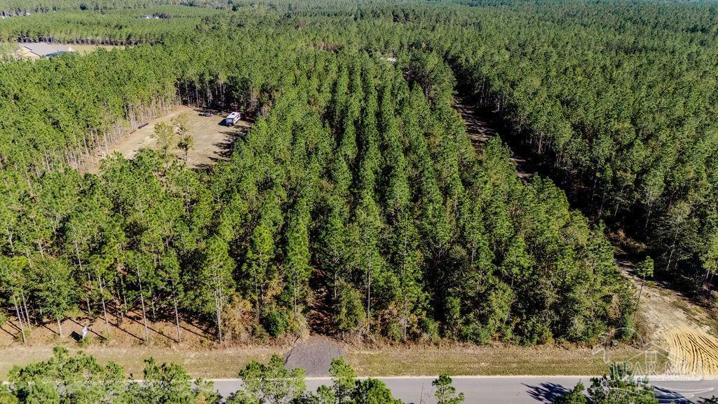9058 Greyrock Lndg Road Pace, FL 32571 - Photo 3 of 22