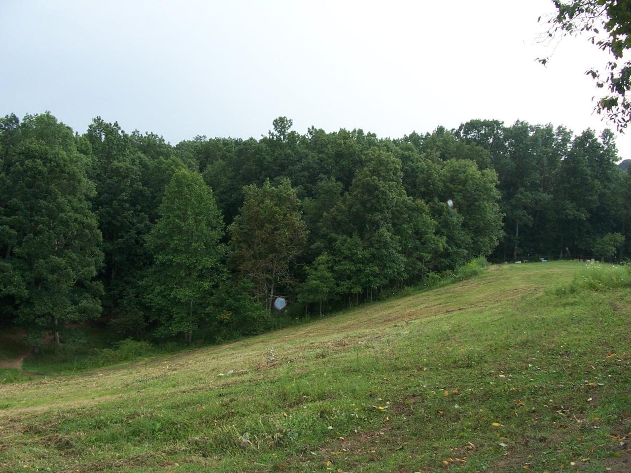 37 Vaughn Road Frankford, WV 24938 - Photo 14 of 21 View of the property