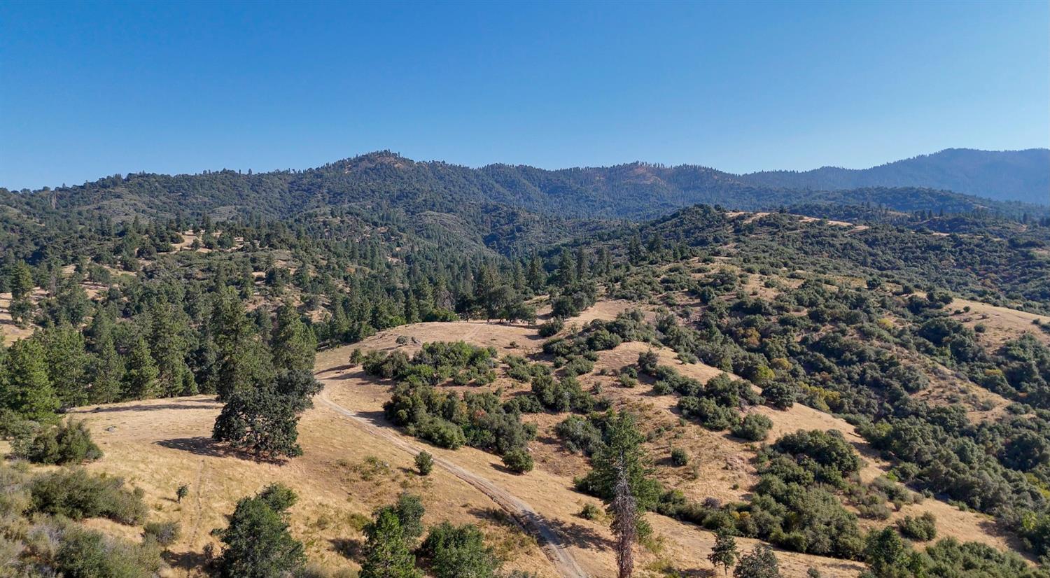 0 Whitaker Forest Road Miramonte, CA 93603 - Photo 42 of 78 a view of a dry field covered with fog