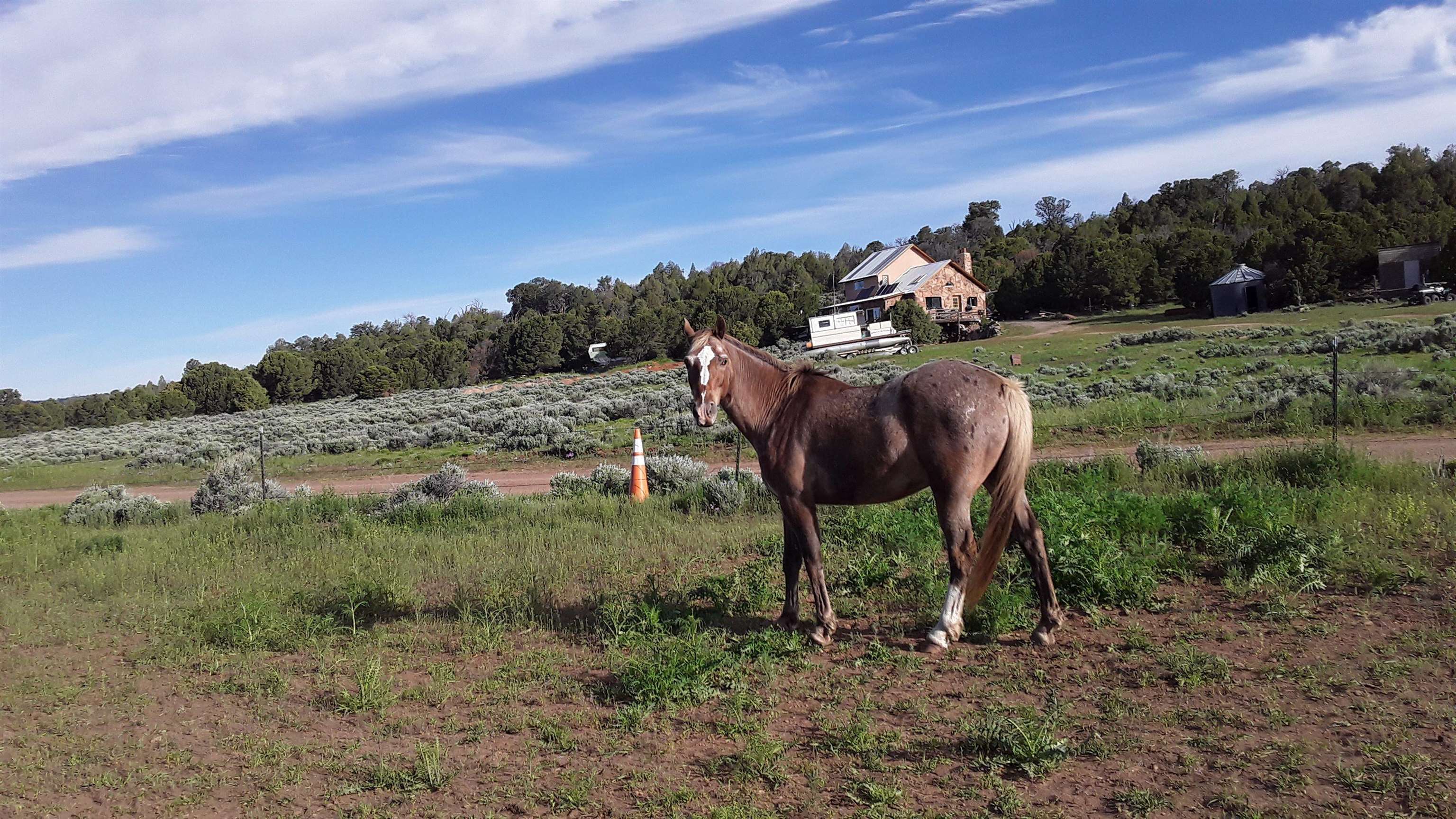 6517 Uncompahgre Divide Road Whitewater, CO 81527 - Photo 2 of 18 Gallery Image 2