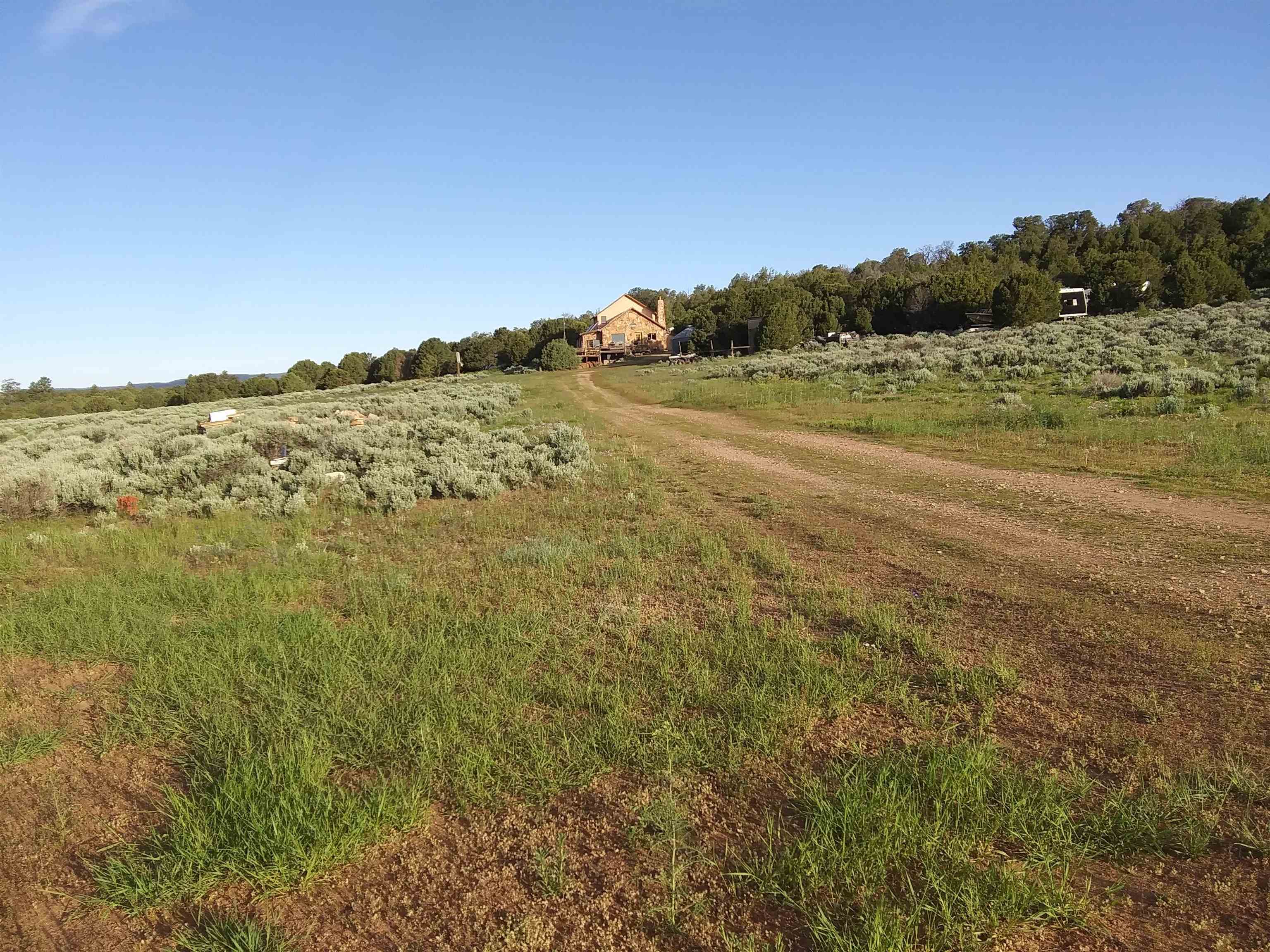 6517 Uncompahgre Divide Road Whitewater, CO 81527 - Photo 7 of 18 Gallery Image 7