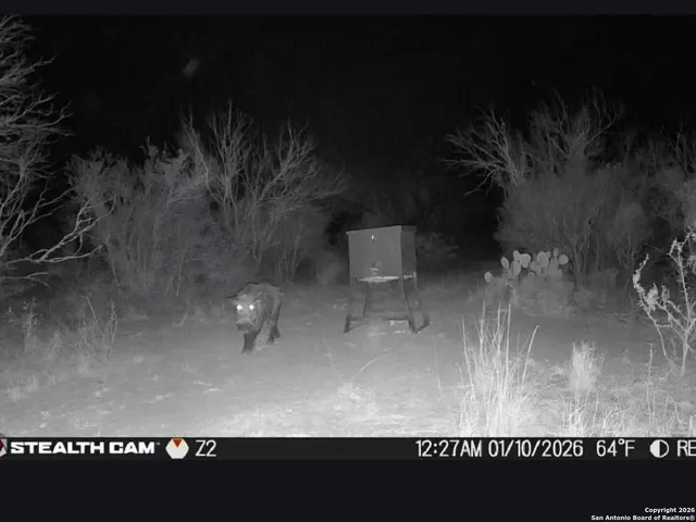 a view of a wooden floor