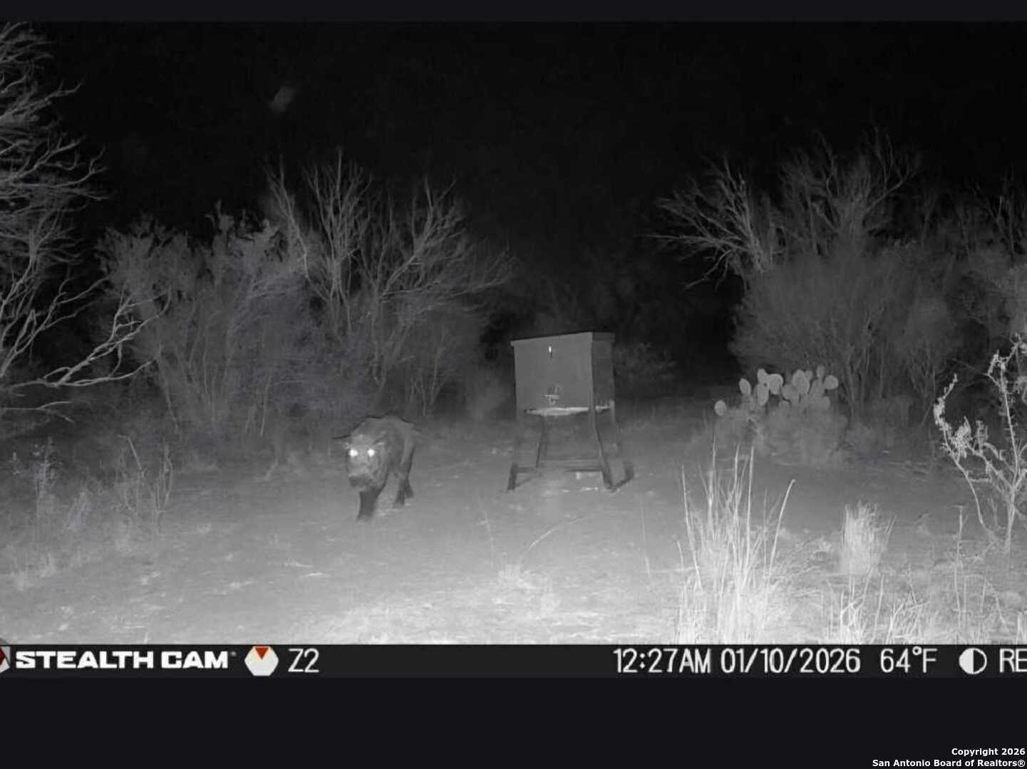 A-735 Franklin Ranch Road Jourdanton, TX 78026 - Photo 12 of 17 a view of a wooden floor
