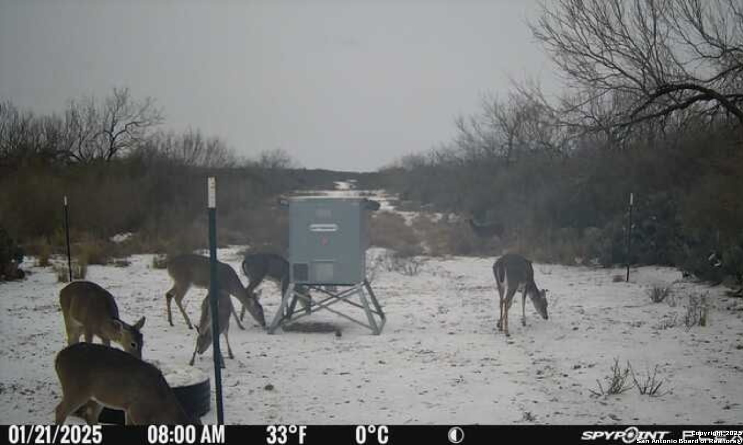 A-735 Franklin Ranch Road Kendalia, TX 78027 - Photo 13 of 14