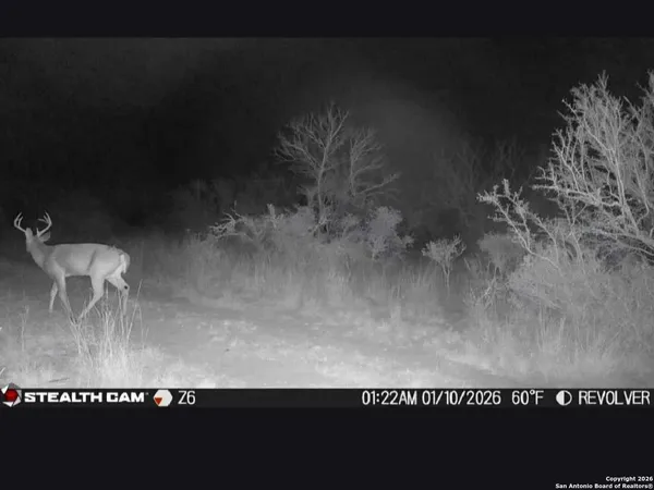 a picture of floor and yard